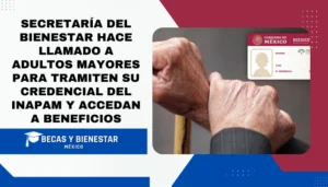 Secretaría del Bienestar hace llamado a adultos mayores para tramiten su credencial del INAPAM y accedan a beneficios