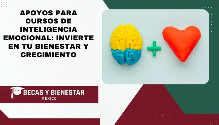 Apoyos para Cursos de Inteligencia Emocional: Invierte en Tu Bienestar y Crecimiento