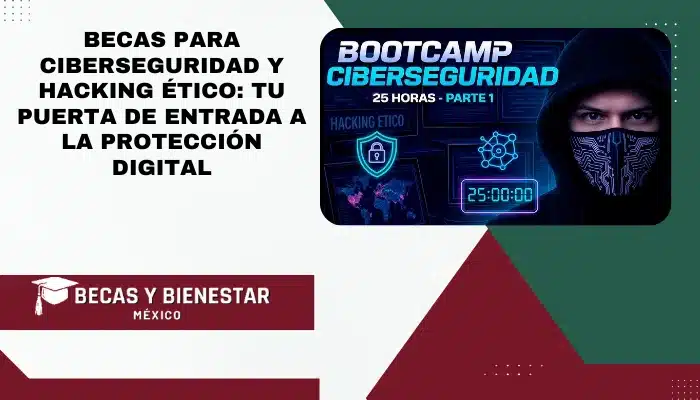 Becas para Ciberseguridad y Hacking Ético: Tu Puerta de Entrada a la Protección Digital
