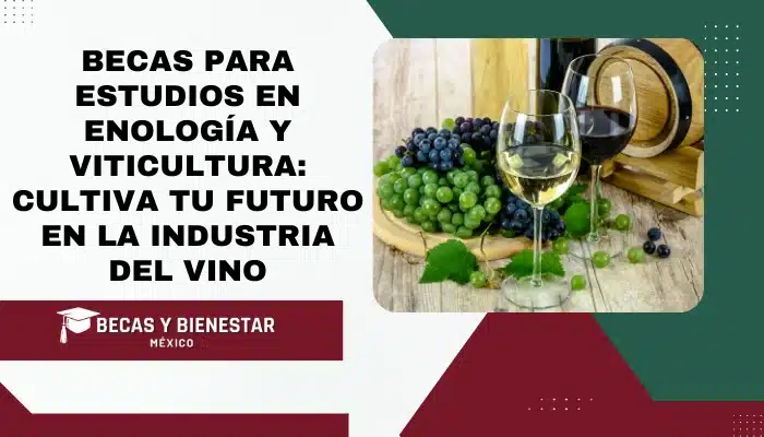Becas para Estudios en Enología y Viticultura: Cultiva tu Futuro en la Industria del Vino