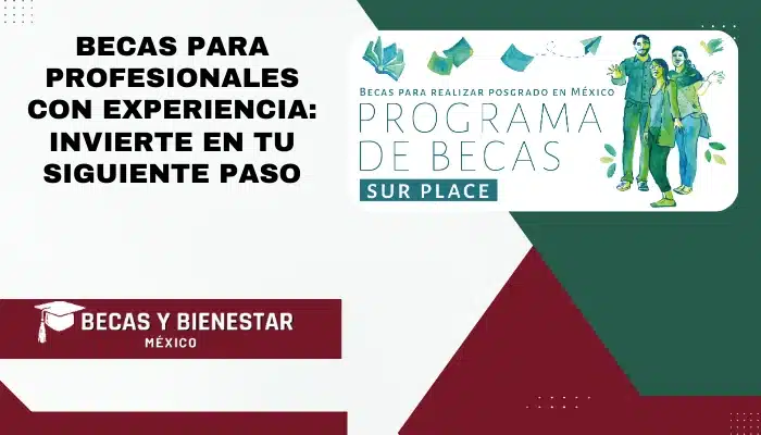 Becas para Profesionales con Experiencia: Invierte en Tu Siguiente Paso
