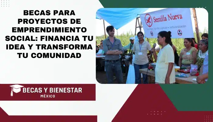 Becas para Proyectos de Emprendimiento Social: Financia tu Idea y Transforma tu Comunidad