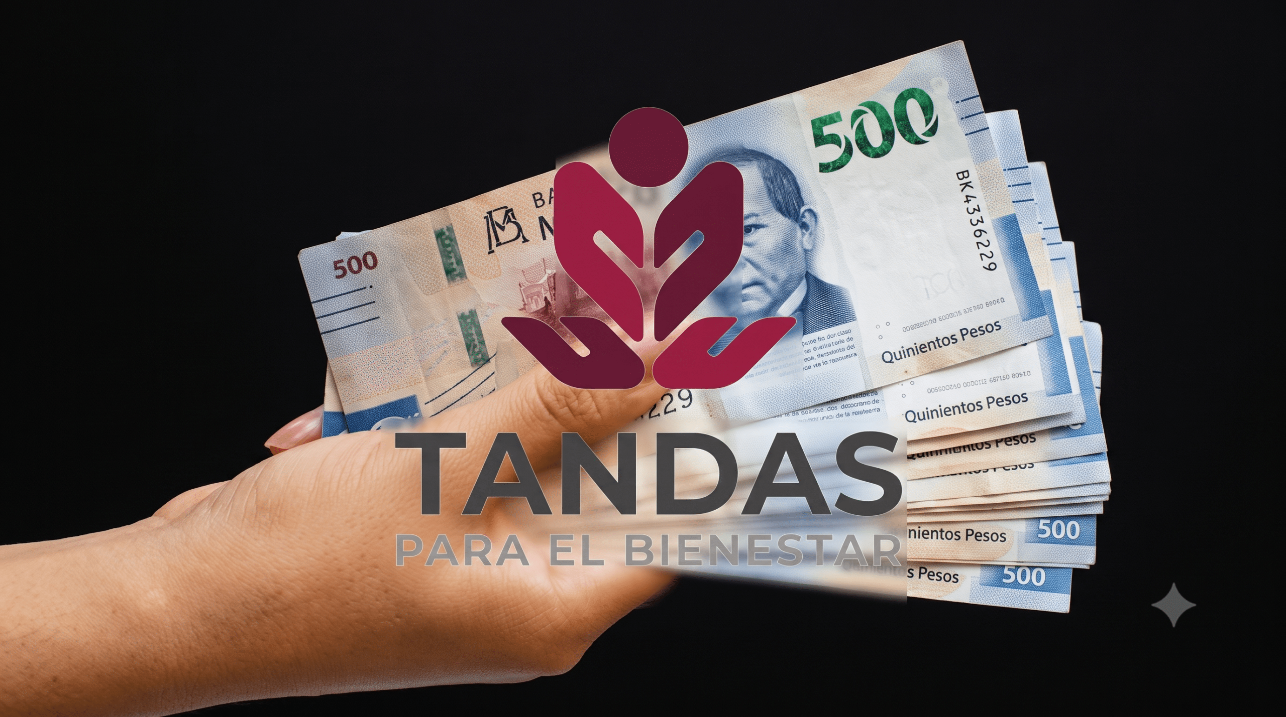 Tandas para el Bienestar 2026 requisitos y cómo pedir tu microcrédito sin intereses
